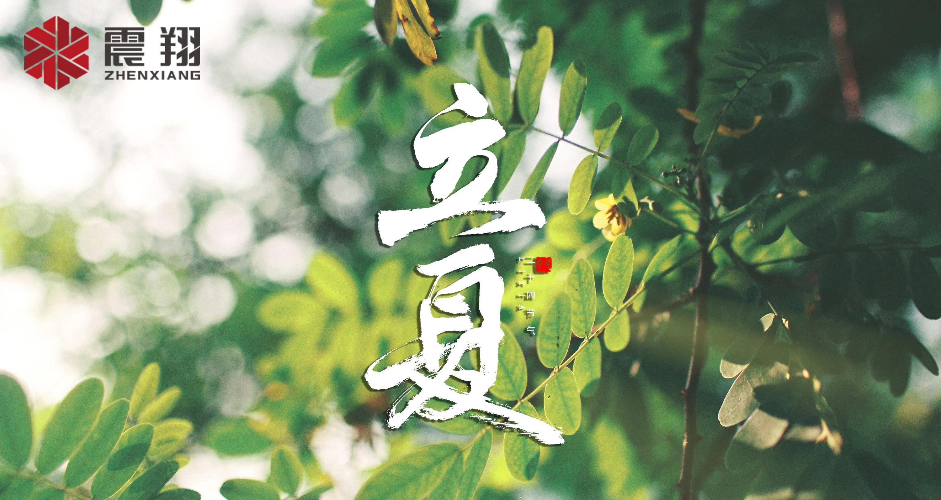 【立夏】春去春來不曾留意，夏日當歸，撲面而來